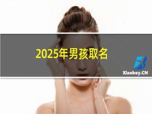 2025年男孩取名