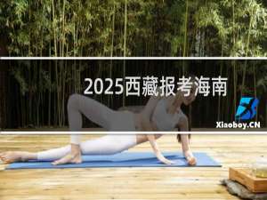 2025西藏报考海南大学最低要多少分 近三年最低分324