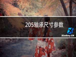 205轴承尺寸参数