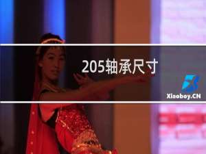 205轴承尺寸