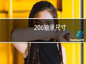 206轴承尺寸