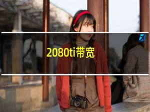 2080ti带宽