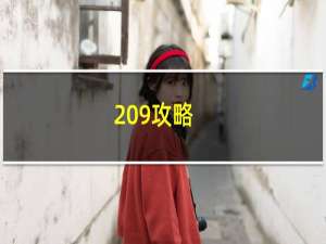 209攻略