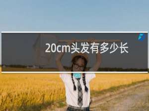 20cm头发有多少长