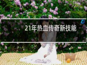 21年热血传奇新技能
