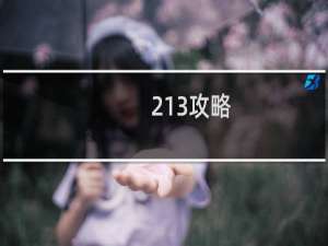213攻略