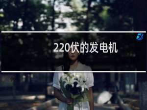 220伏的发电机