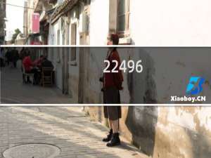 22496.com我这一条域名已经续费到明年4月4月份