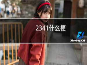 2341什么梗