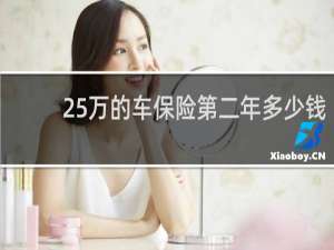 25万的车保险第二年多少钱