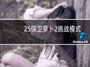 25保卫萝卜2挑战模式