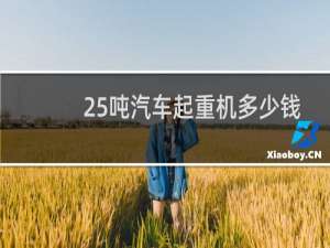 25吨汽车起重机多少钱