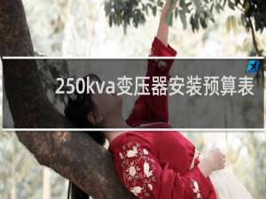250kva变压器安装预算表