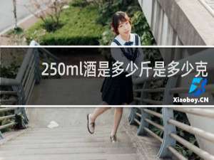 250ml酒是多少斤是多少克