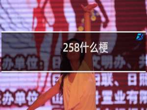 258什么梗