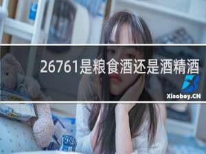 26761是粮食酒还是酒精酒