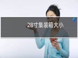 28寸集装箱大小