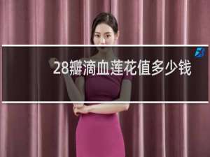 28瓣滴血莲花值多少钱