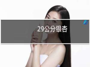 29公分银杏