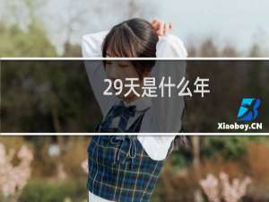 29天是什么年
