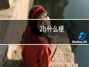 2b什么梗？什么梗