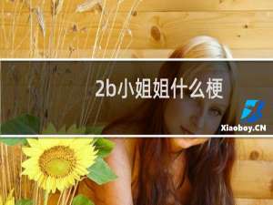 2b小姐姐什么梗