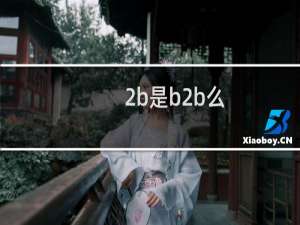 2b是b2b么