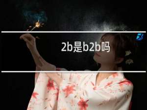 2b是b2b吗