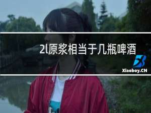 2l原浆相当于几瓶啤酒