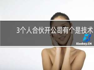 3个人合伙开公司有个是技术