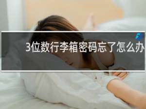 3位数行李箱密码忘了怎么办