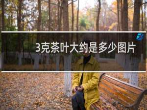 3克茶叶大约是多少图片