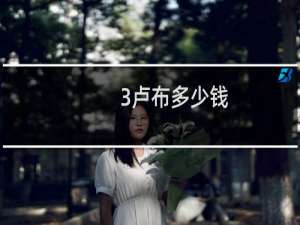 3卢布多少钱