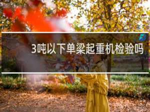 3吨以下单梁起重机检验吗
