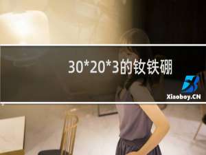 30*20*3的钕铁硼磁铁图片