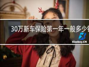 30万新车保险第一年一般多少钱