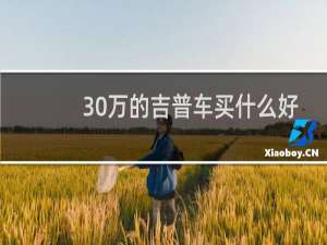 30万的吉普车买什么好