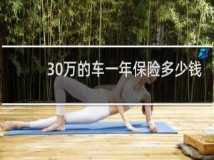 30万的车一年保险多少钱