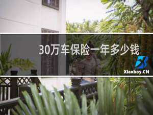 30万车保险一年多少钱