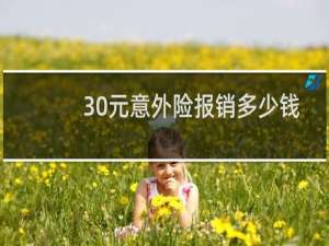 30元意外险报销多少钱