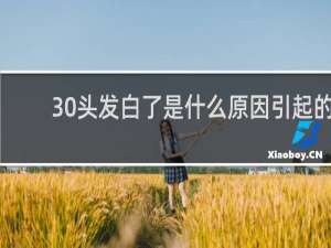 30头发白了是什么原因引起的