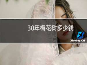 30年梅花树多少钱