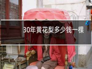 30年黄花梨多少钱一棵