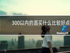 300以内的酒买什么比较好点