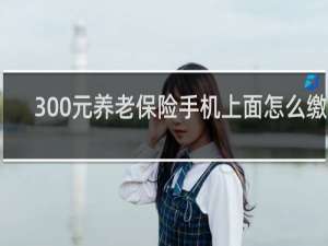 300元养老保险手机上面怎么缴费