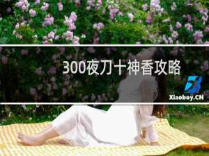 300夜刀十神香攻略