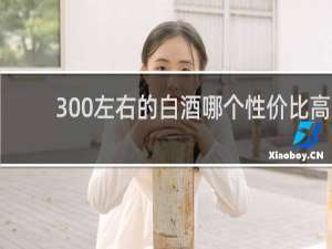 300左右的白酒哪个性价比高