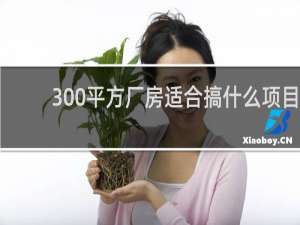 300平方厂房适合搞什么项目