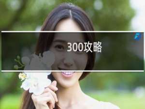 300攻略