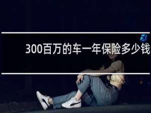 300百万的车一年保险多少钱